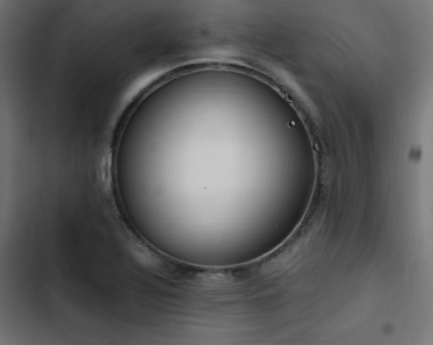 X0000103451320200809121418