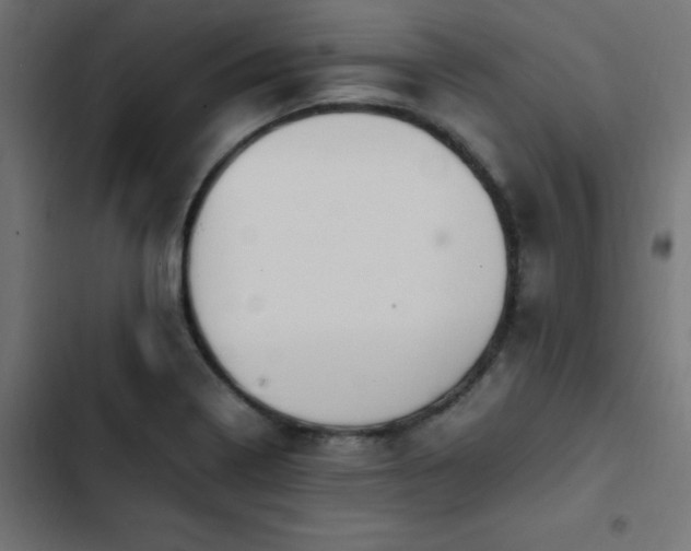 X0000103451322200809121418
