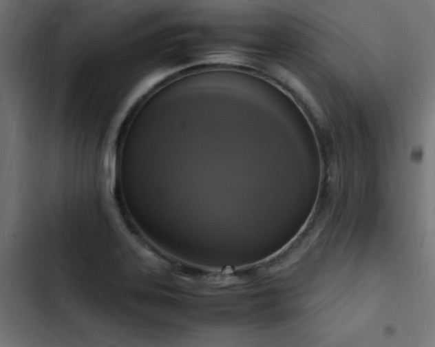 X0000103451323200809121418