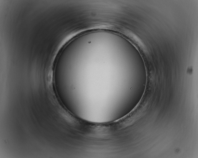 X0000103451324200809121418