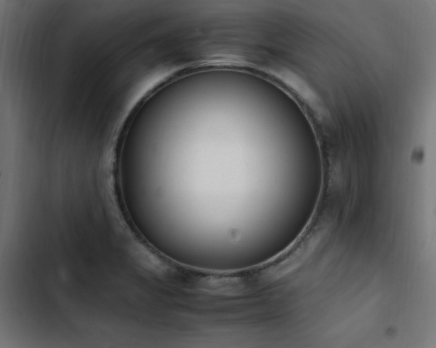 X0000103451325200809121418