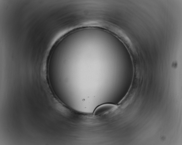 X0000103451328200809121418