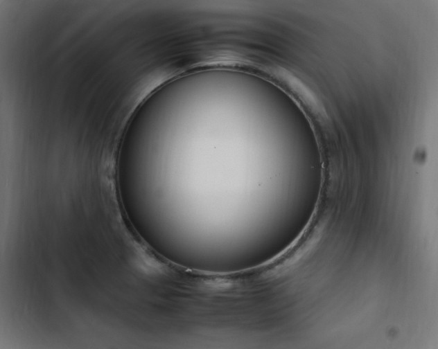 X0000103451329200809121418