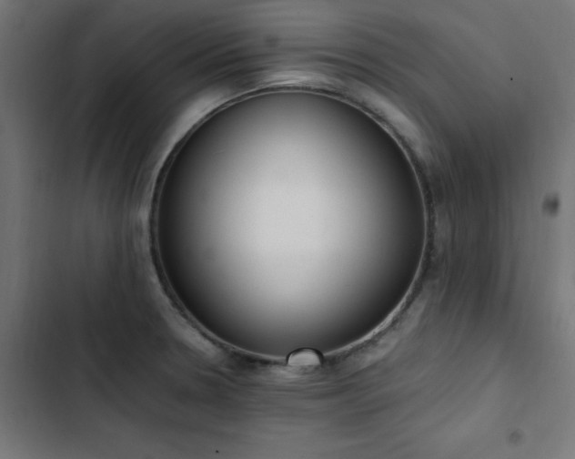 X0000103451330200809121418