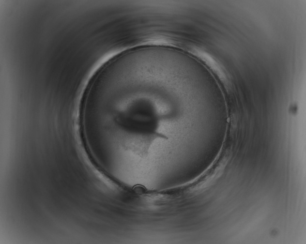 X0000103451331200809121418