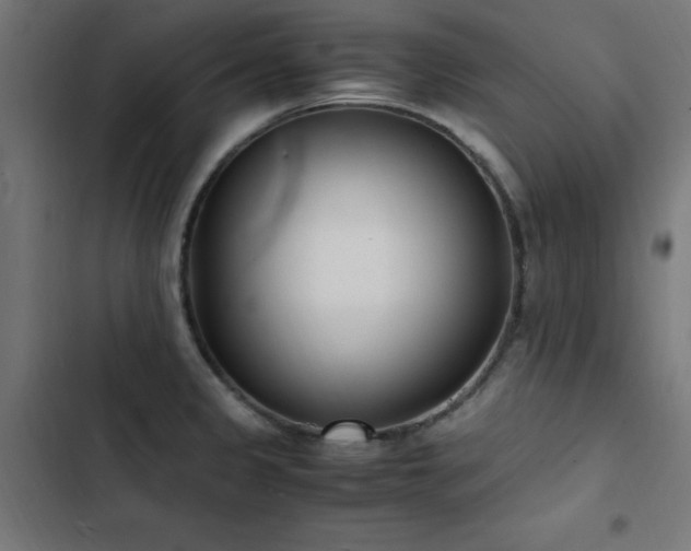 X0000103451333200809121418