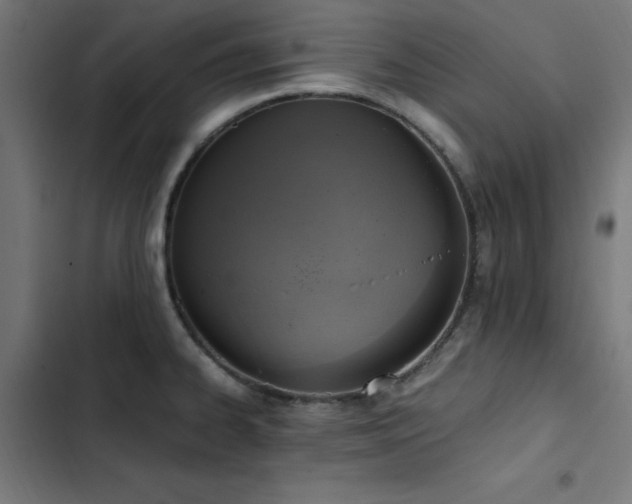 X0000103451334200809121418