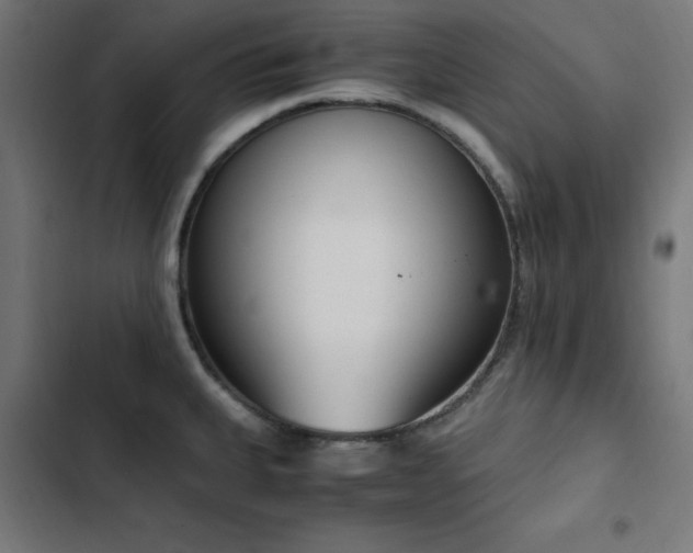 X0000103451335200809121418