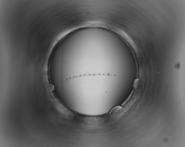 X0000103451336200809121418