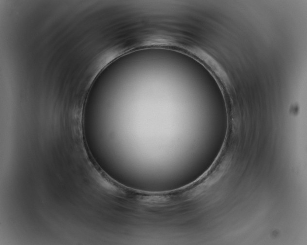 X0000103451337200809121418