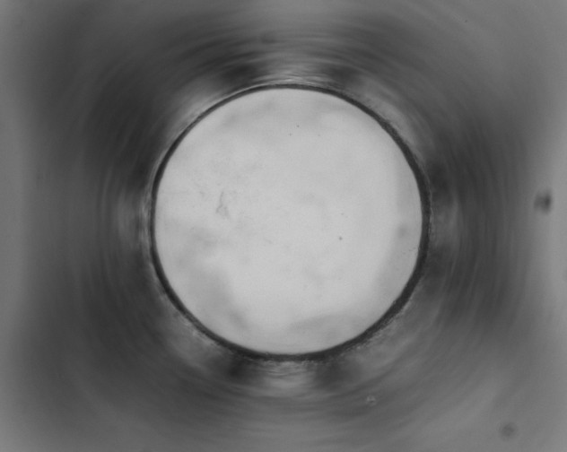 X0000103451338200809121418