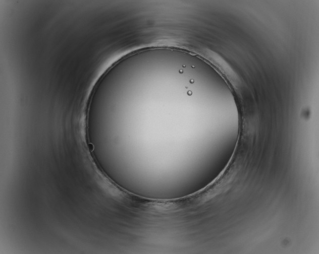 X0000103451340200809121418