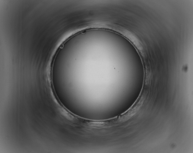 X0000103451342200809121418
