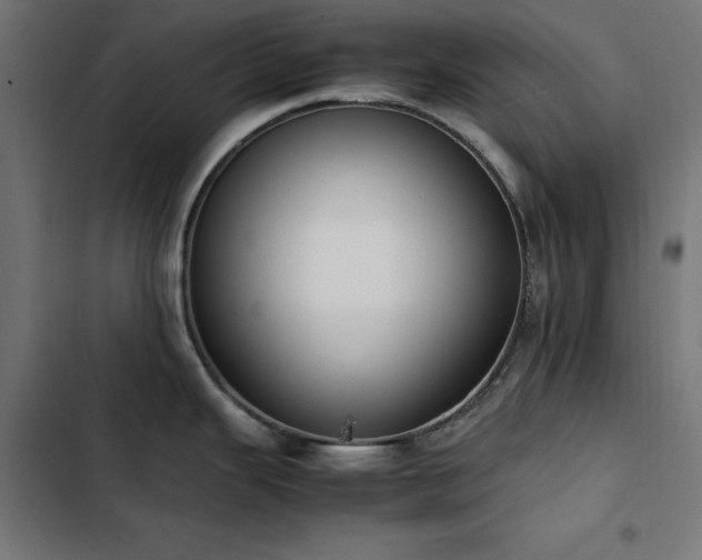 X0000103451343200809121418