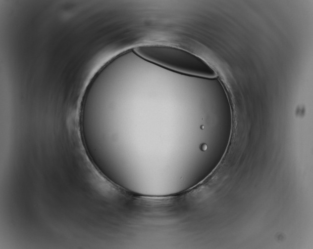 X0000103451344200809121418