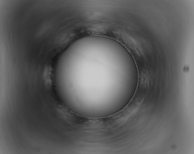 X0000103451346200809121417