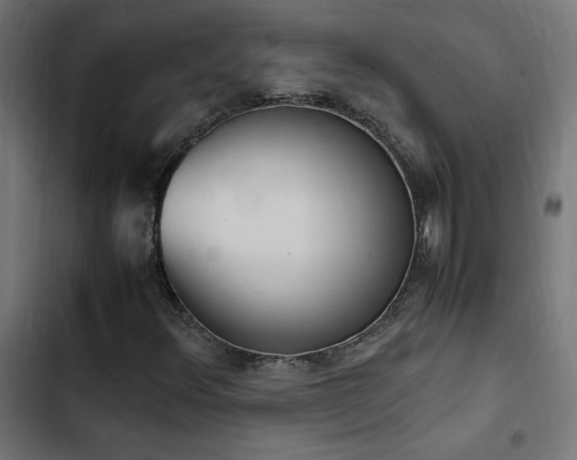 X0000103451348200809121417