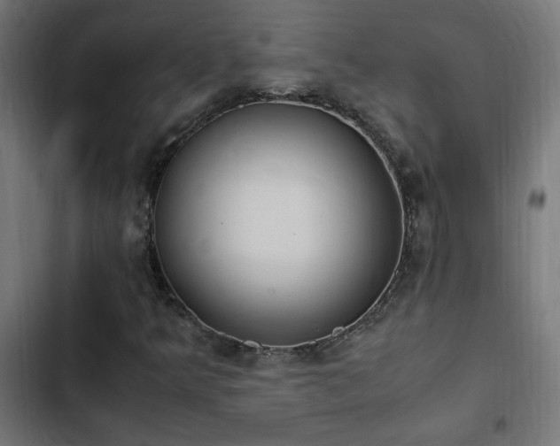 X0000103451349200809121417
