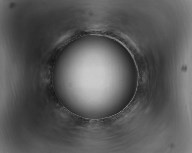 X0000103451350200809121417