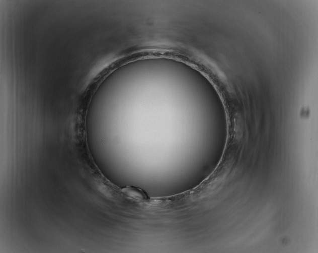 X0000103451352200809121417