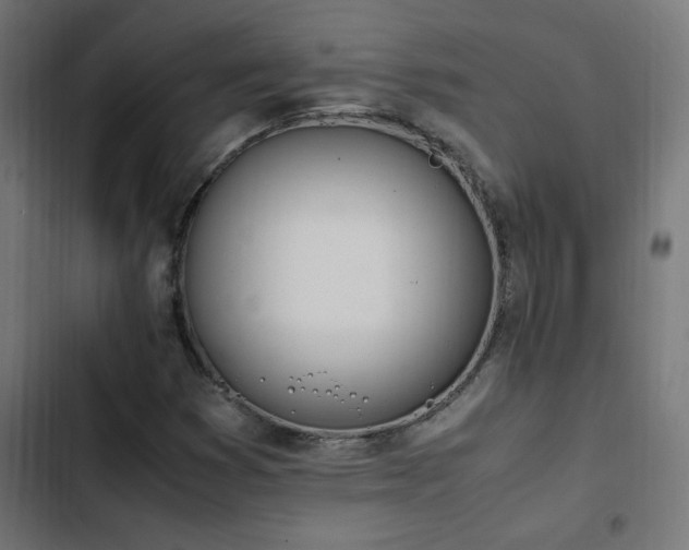 X0000103451353200809121417
