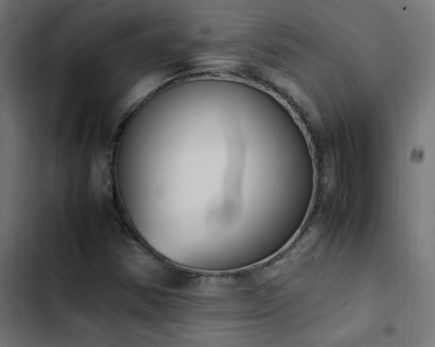 X0000103451354200809121417