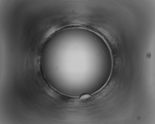 X0000103451355200809121417