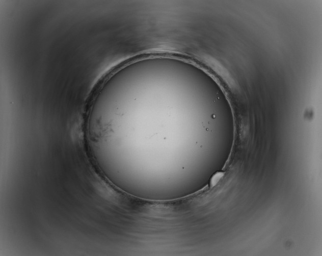 X0000103451356200809121417