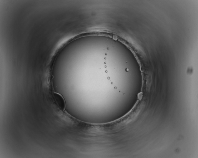 X0000103451358200809121417