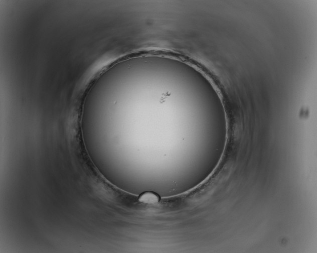 X0000103451359200809121417