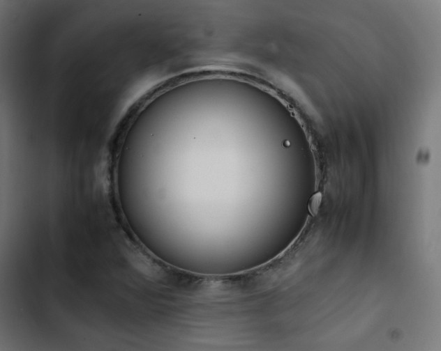 X0000103451360200809121417
