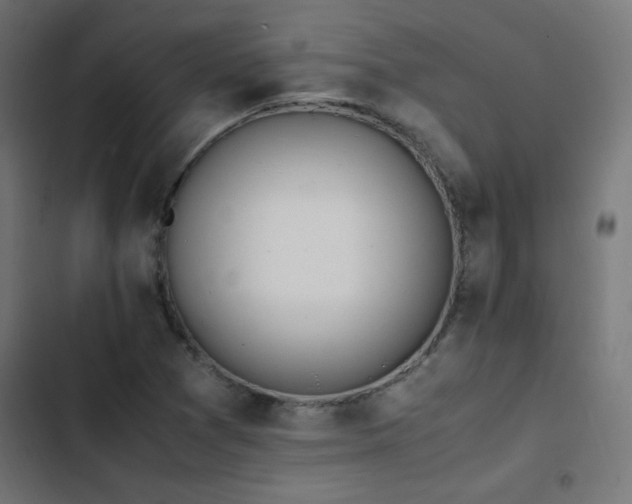 X0000103451361200809121417