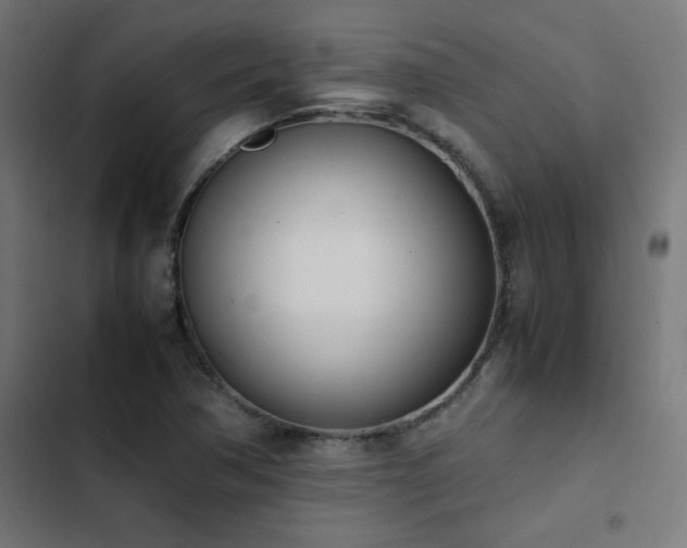X0000103451362200809121417