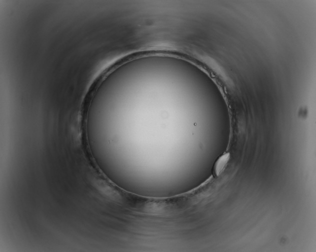 X0000103451364200809121417