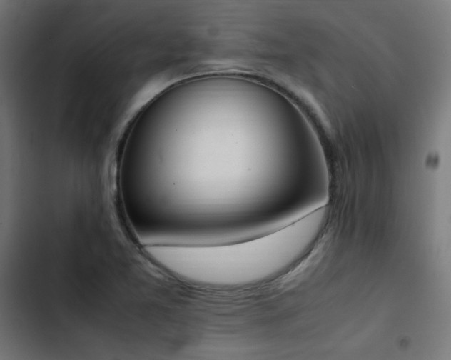X0000103451365200809121417