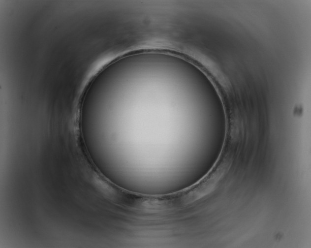 X0000103451366200809121417