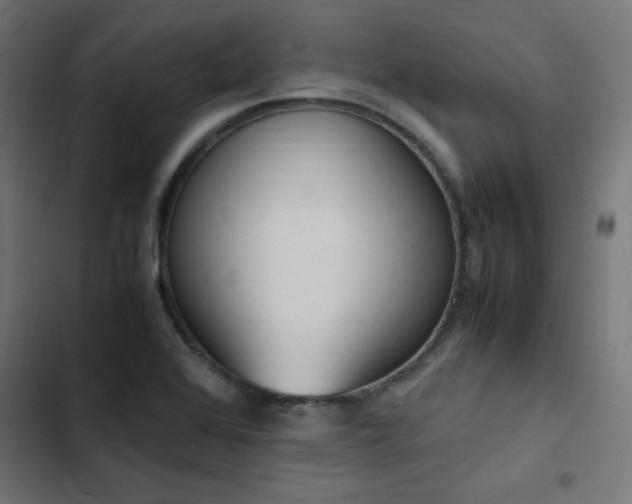 X0000103451368200809121417