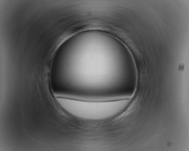 X0000103451369200809121417