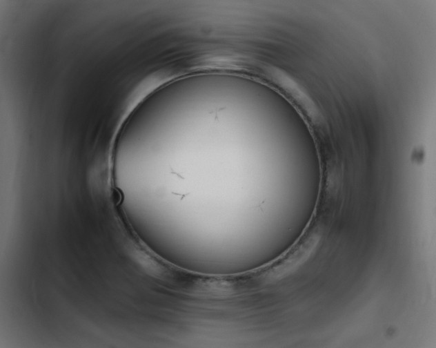 X0000103451370200809121417