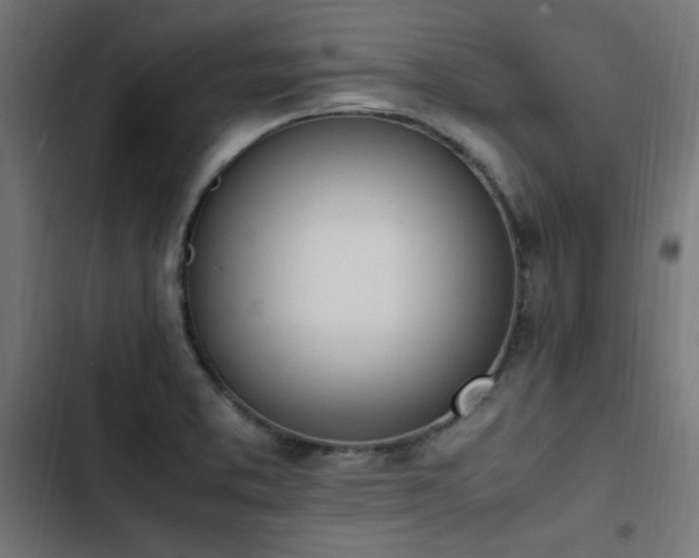 X0000103451373200809121417