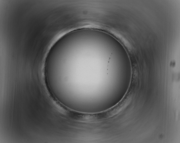 X0000103451375200809121417