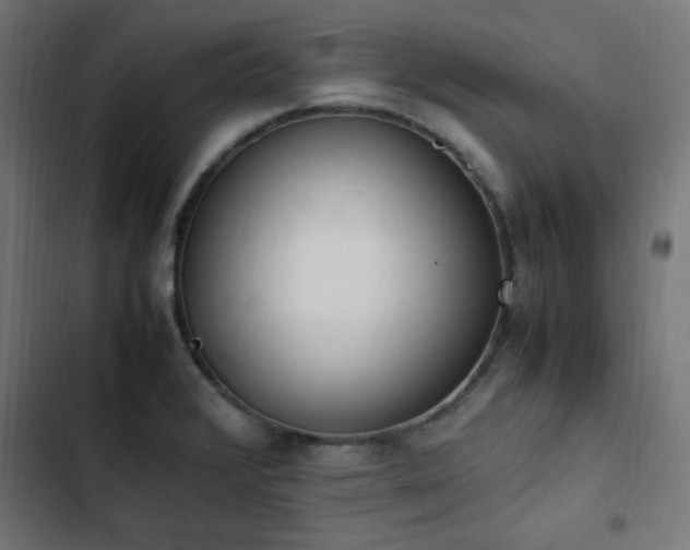 X0000103451376200809121417