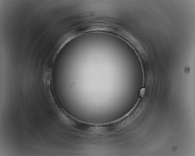 X0000103451377200809121417