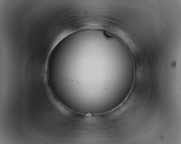 X0000103451378200809121417