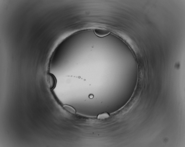 X0000103451379200809121417