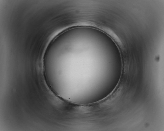 X0000103451380200809121417