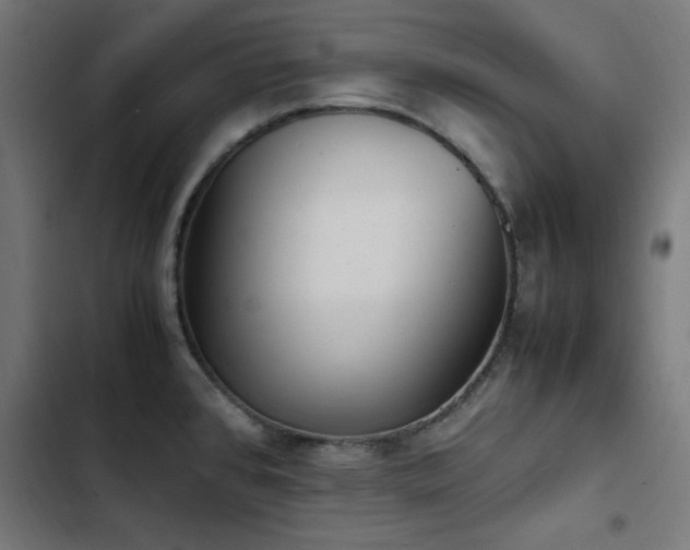 X0000103451384200809121417