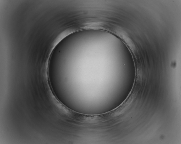 X0000103451386200809121417