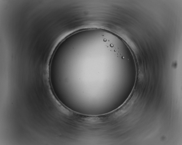 X0000103451388200809121417