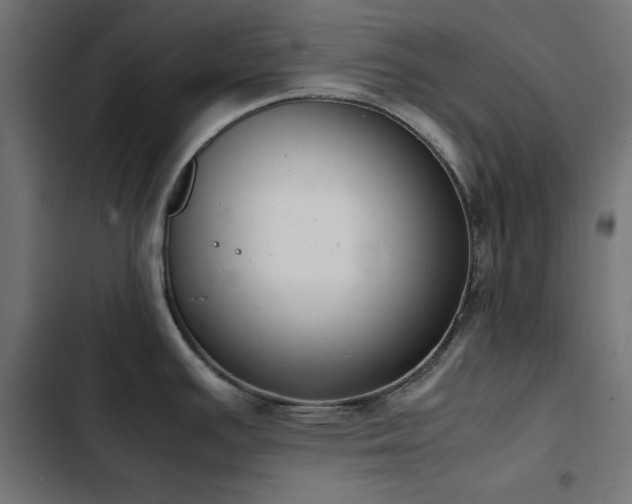 X0000103451391200809121417